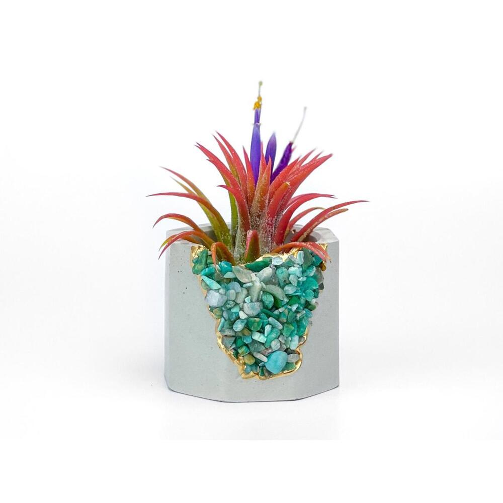 Amazonite Air Plant Holder | Succulent Crystal Geode Planter